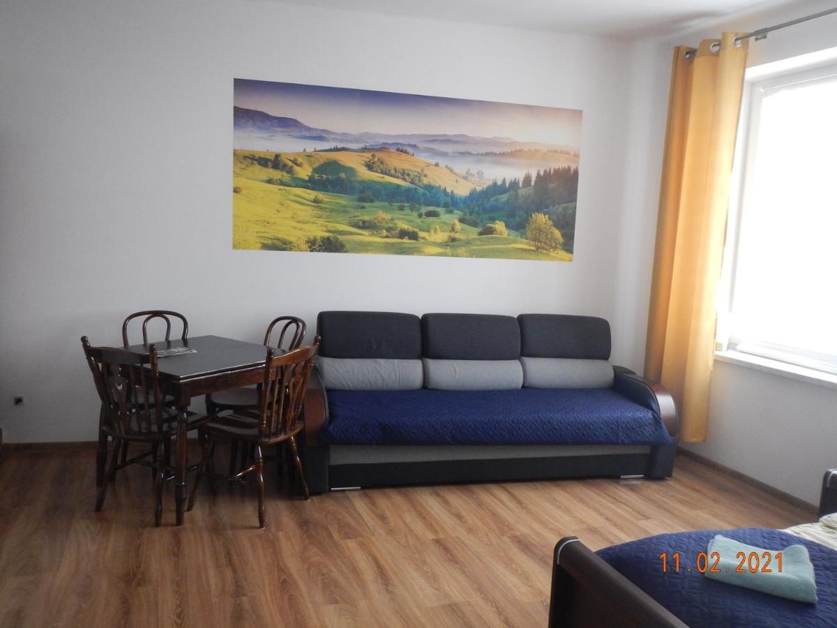 Apartament Providentia Zakopane Witkiewicza 3 Exterior foto